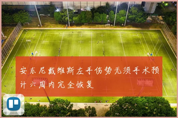 安东尼戴维斯左手伤势无须手术预计六周内完全恢复