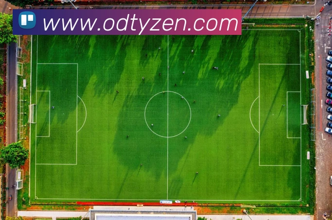 OD体育APP 高清赛事图